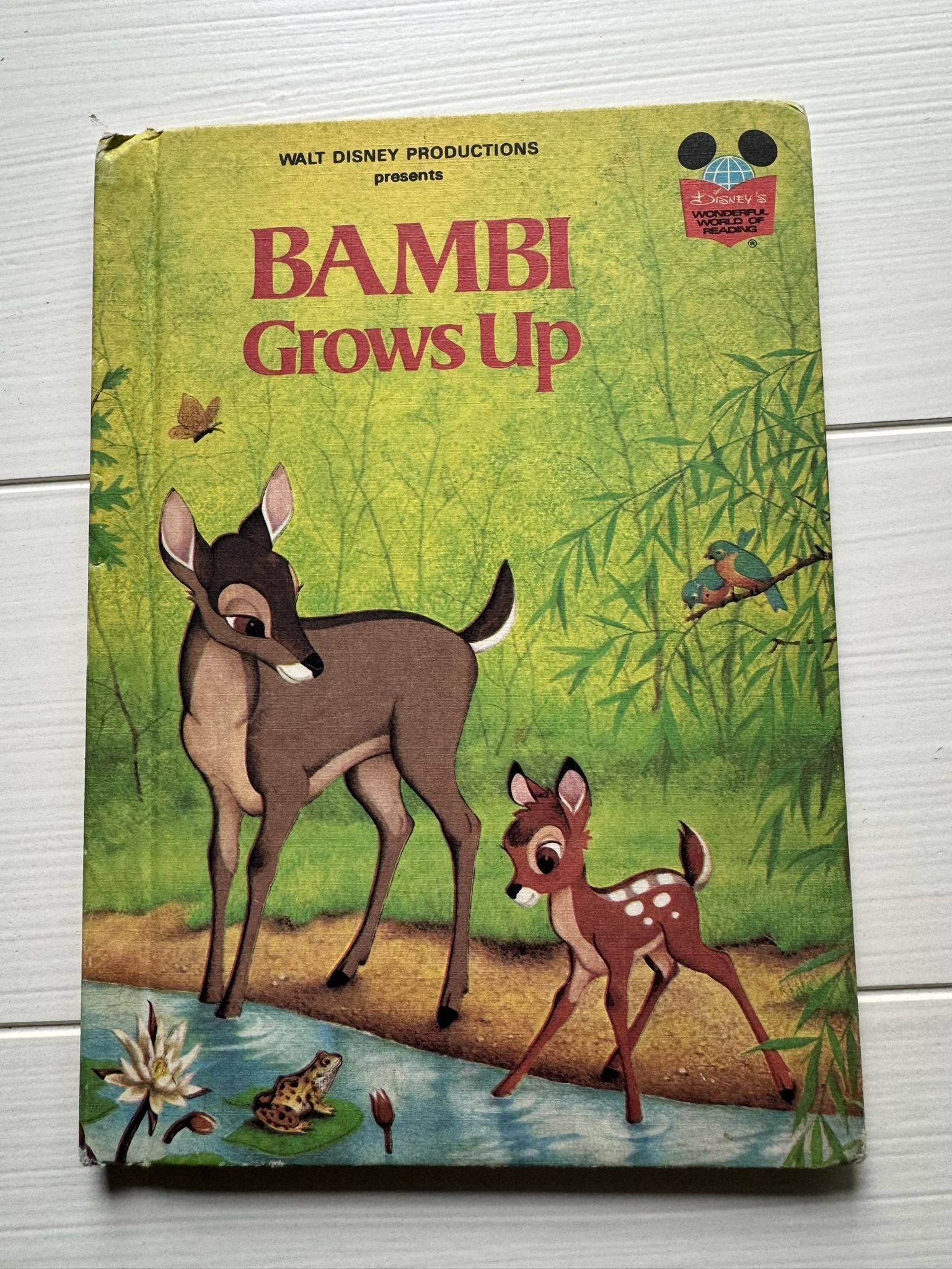 🌿 Bambi Grows Up – Walt Disney Presents (1979, Hardcover) Vintage Classic