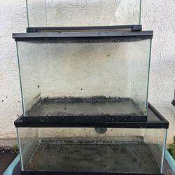 5 Reptile/Fish Tanks NEGOTIABLE