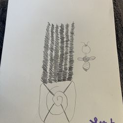 Plant And Bee Pencil Art Drawing 