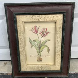 Joan Cole Framed Art - Tulipa Estella Rijnveld - Ready To Hang Great Condition!
