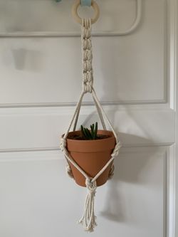 Macrame plant hanger with plant