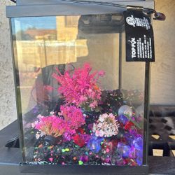 5 Gallon Fish Tank 