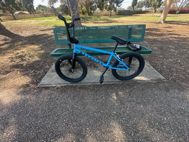 BMX-Cult- Mint Condition