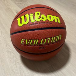 Wilson evo basketball