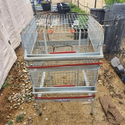 Wynola Ranch Double Quail Cage