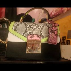 Aldo Purse