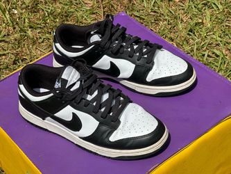 Size 12 Nike dunks