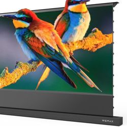 WEMAX Electric Projector Screen w/ Smart Voice Control, 4K UHD 0.6 Gain Telephoto Anti-Light Screen