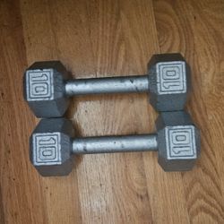 10 Lb Dumbbels