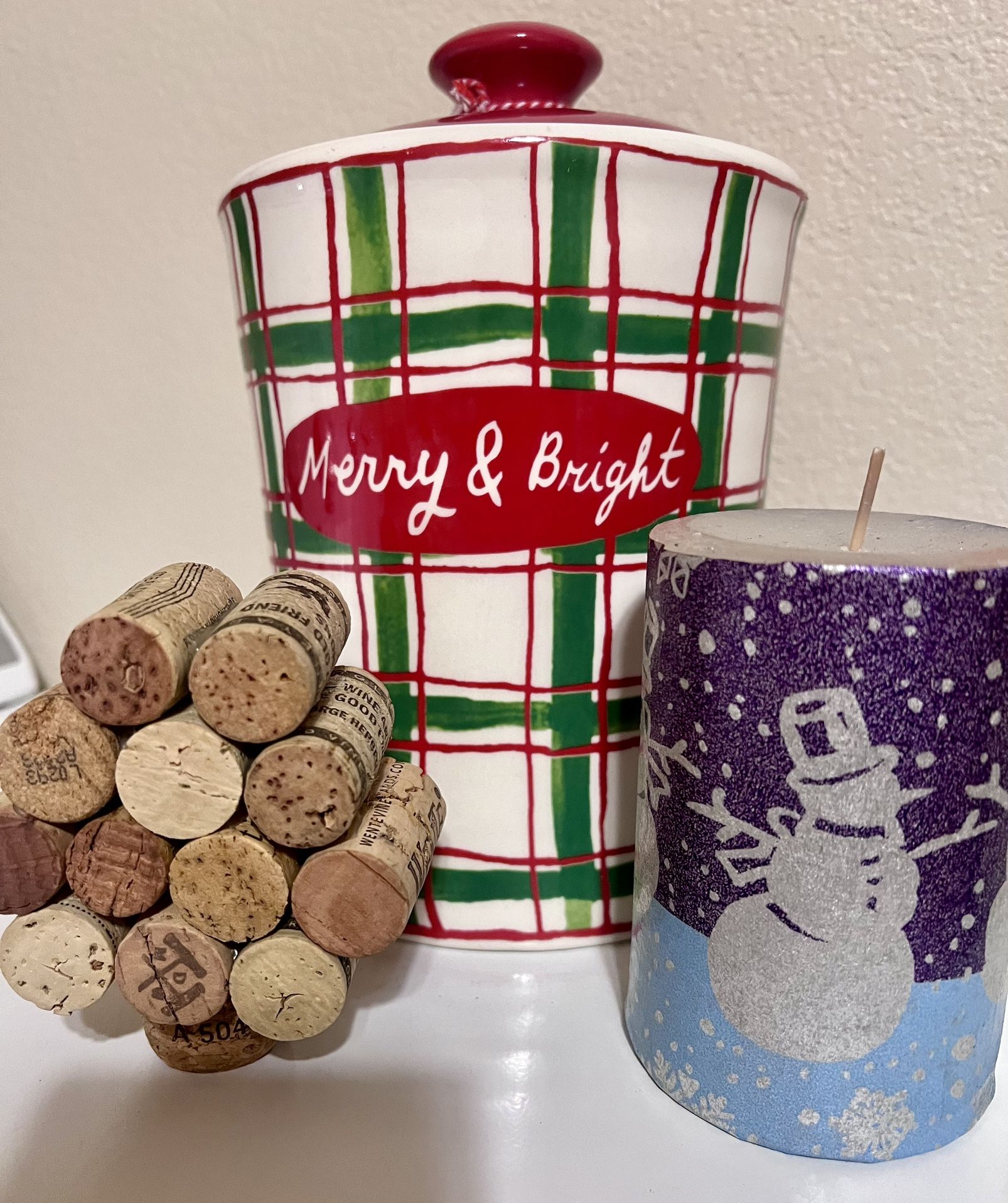 Molly Hatch Merry & Bright Painted Christmas Holiday Canister Cookie