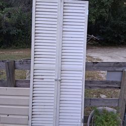 French Closet Doors  31x80