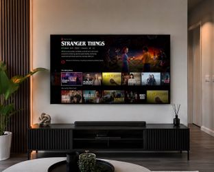 Tv mounter