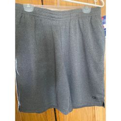 Champion Men’s Shorts (size L)