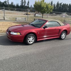 2000 Ford Mustang