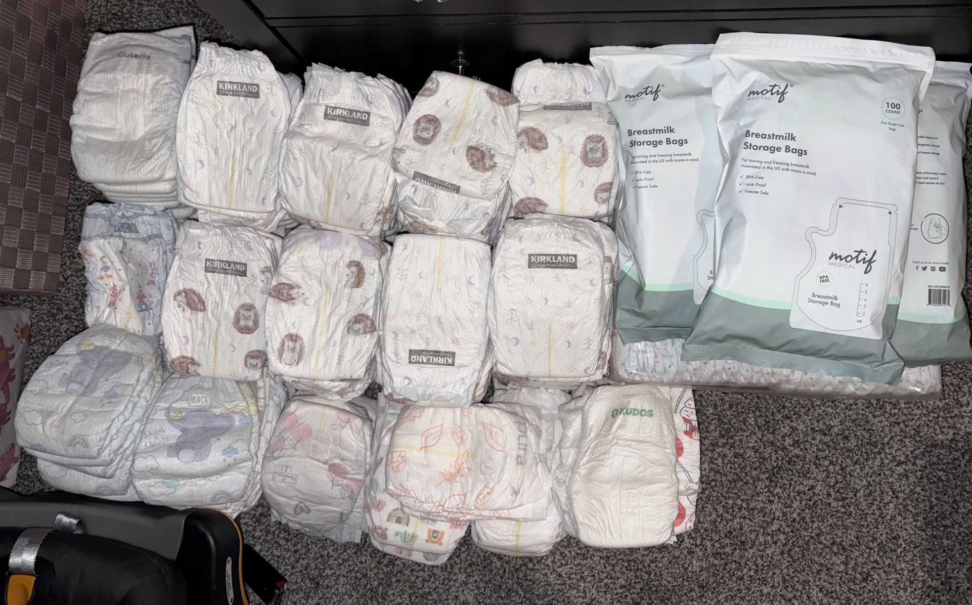 Diaper Bundle Size One (All) + milk bags.