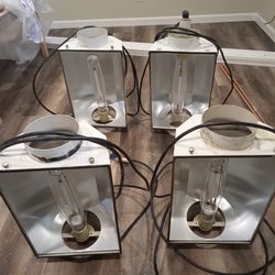 Grow Lights For Flowering Plants