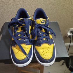Nike Dunk Low Michigan (YOUTH 5Y)