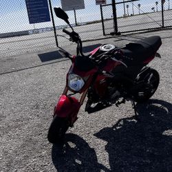 Z125 Pro