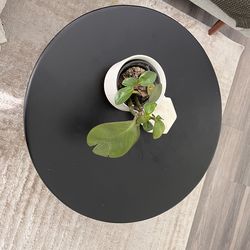 Round Black Coffee Table w/ Storage – Modern + Cane Detail
