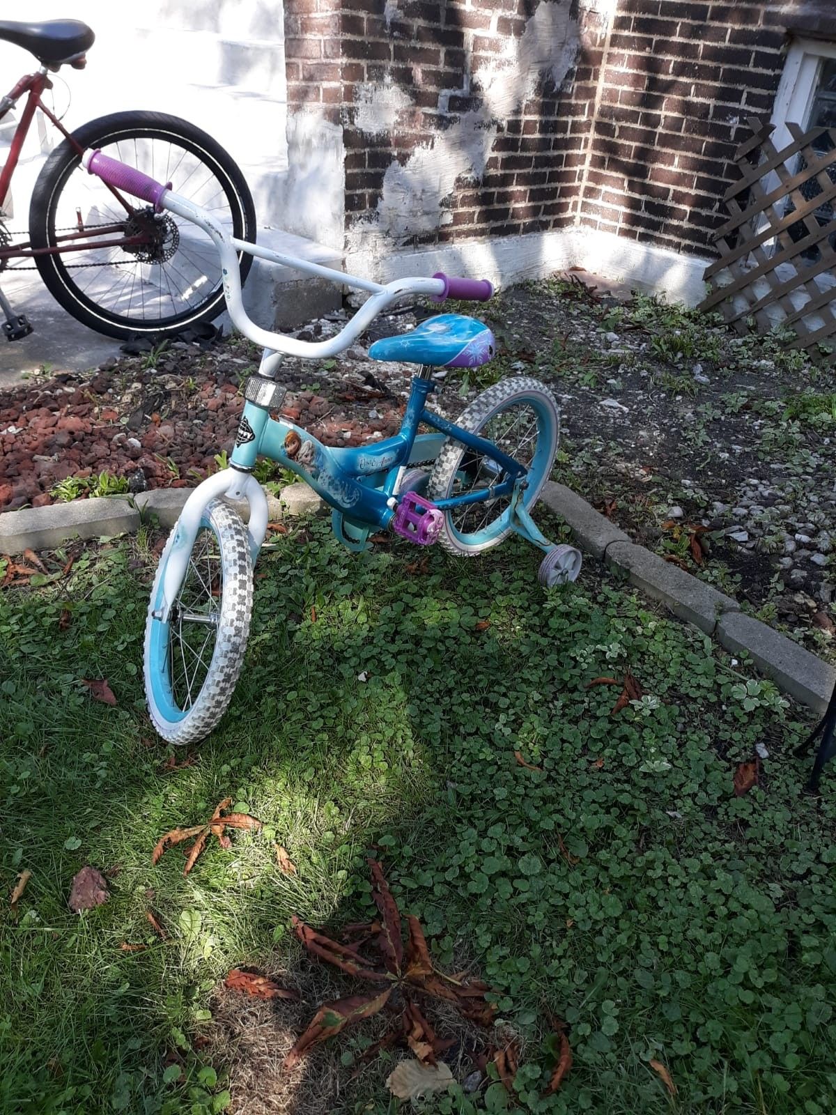 Froze bike