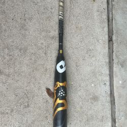 Demarini CF 31/21