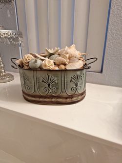 Beautiful Shell Display 