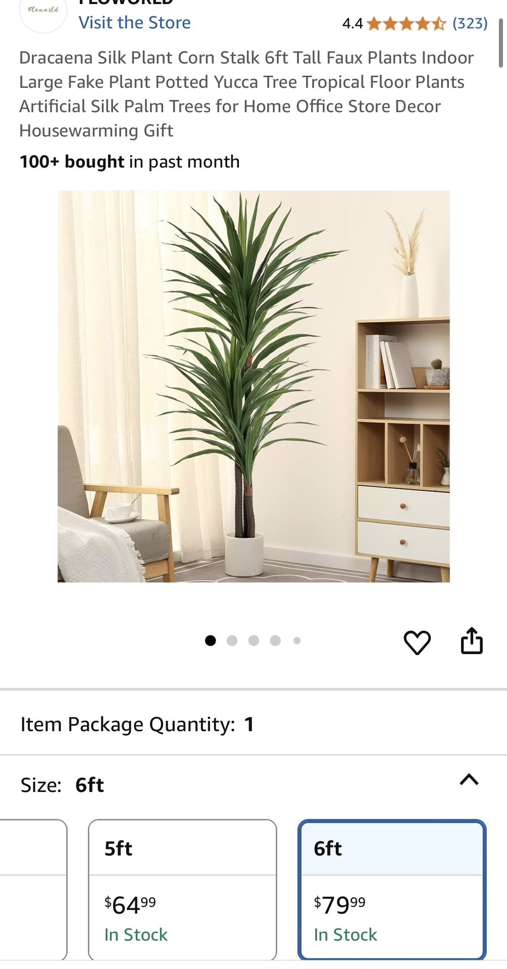 Silk Indoor Plant