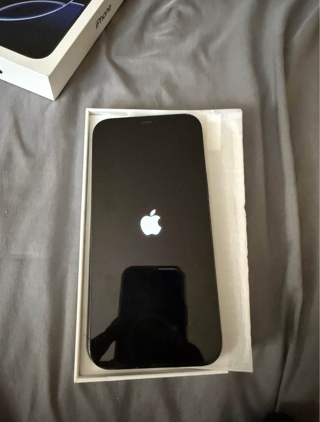 Iphone Pro Max