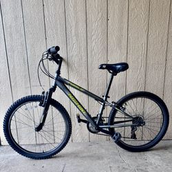 NISHIKI Mountain Bike 24”