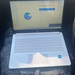 hp Microsoft LapTop