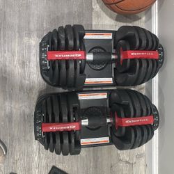 Bowflex Dumbbells 
