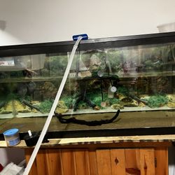 55 Gal tank