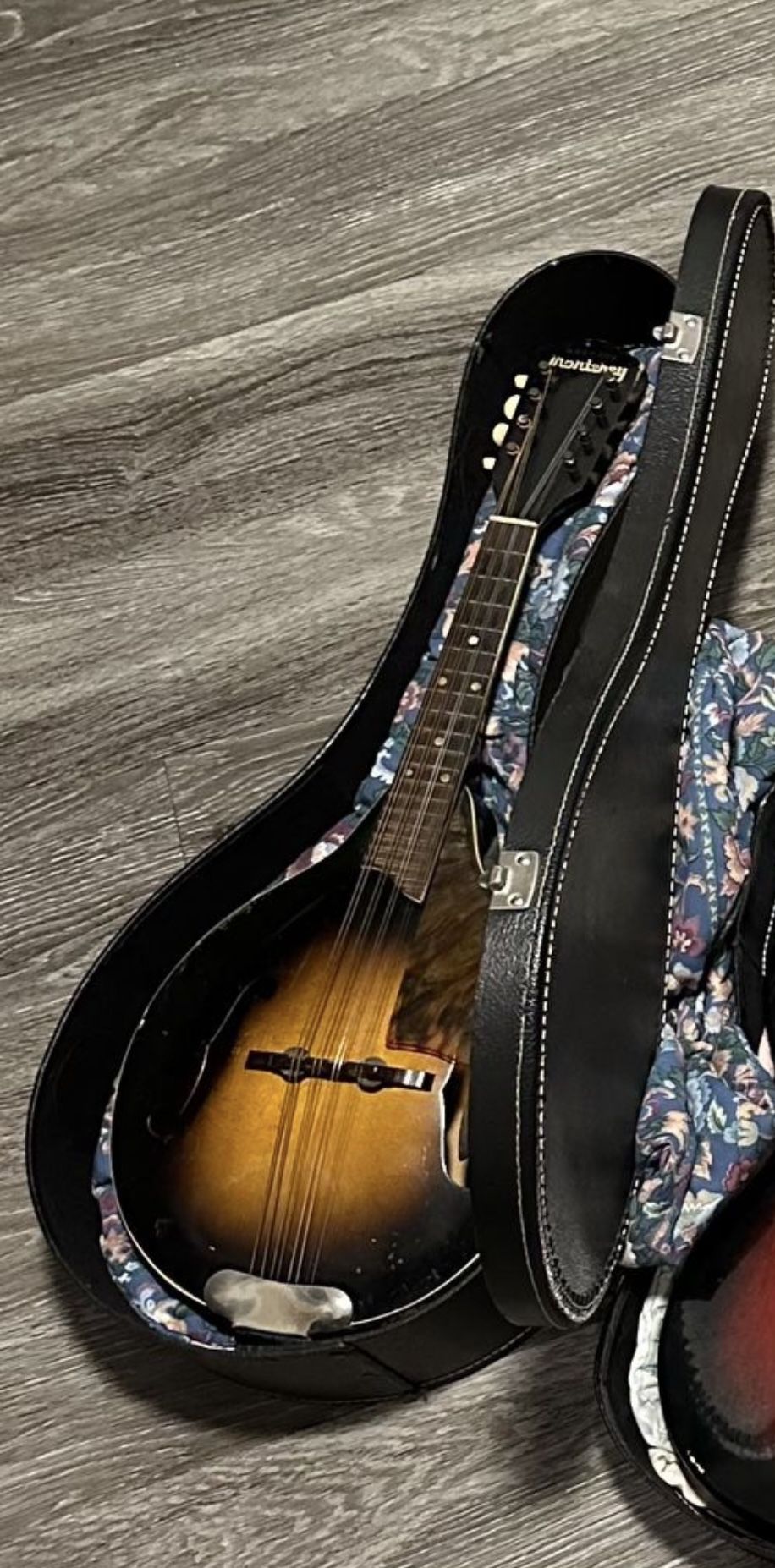 Monterey mandolin