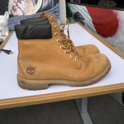 Timberland Size 12 