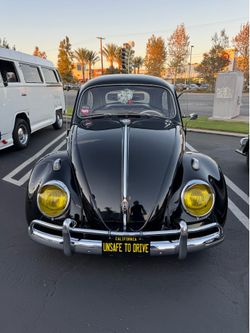1962  VW beetle