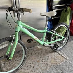 Giant Liv Youth 7 Speed Kids Mountain BIke