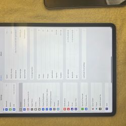iPad Pro 12.9 (6th Gen) 256GB