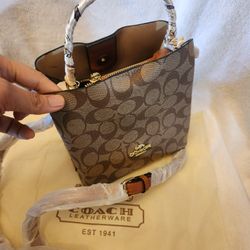 Coach Bag 