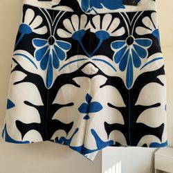 Zara Short And Skirt Size S- Skirt Brand New 2 For $15