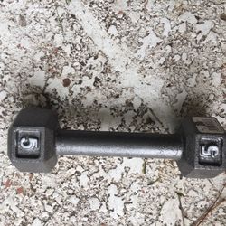 5 Lb Dumbbell