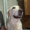 Erik