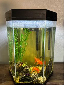Fish tank