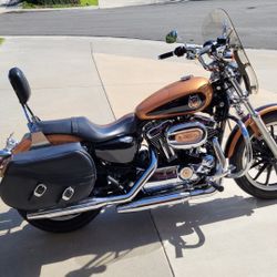2008 Harley-Davidson XL 1200 Low 105th Anniversary Sportster