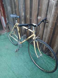 Vintage miyata Single speed
