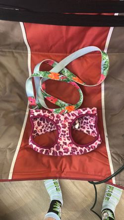 Harness and leash