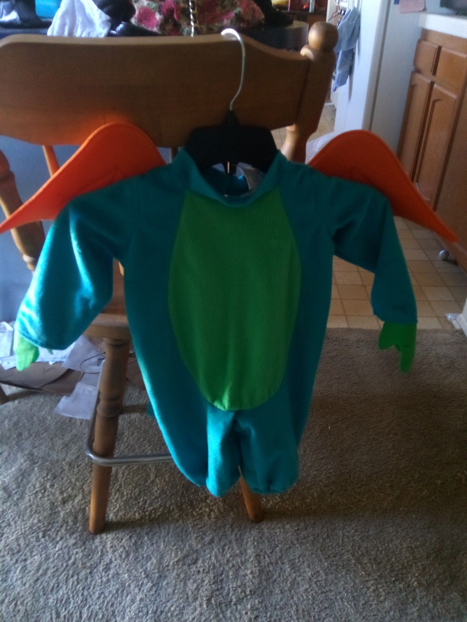 Dragón costume