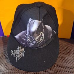 Marvel Comics Black Panther Hat-10.00