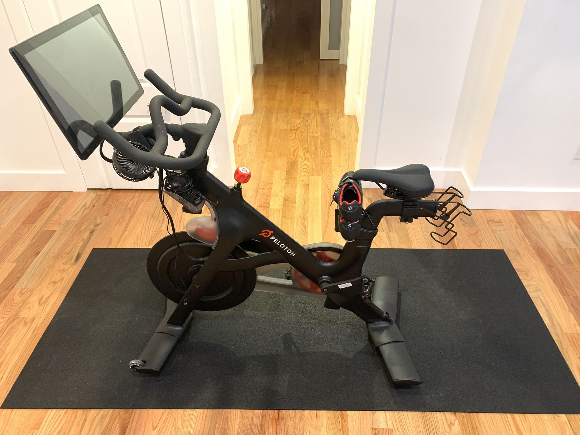 Peloton Bike (with matt, shoes & fan)