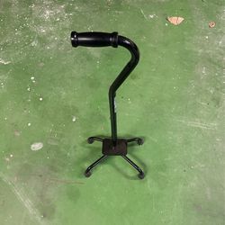 Guardian Cane Walking Cane