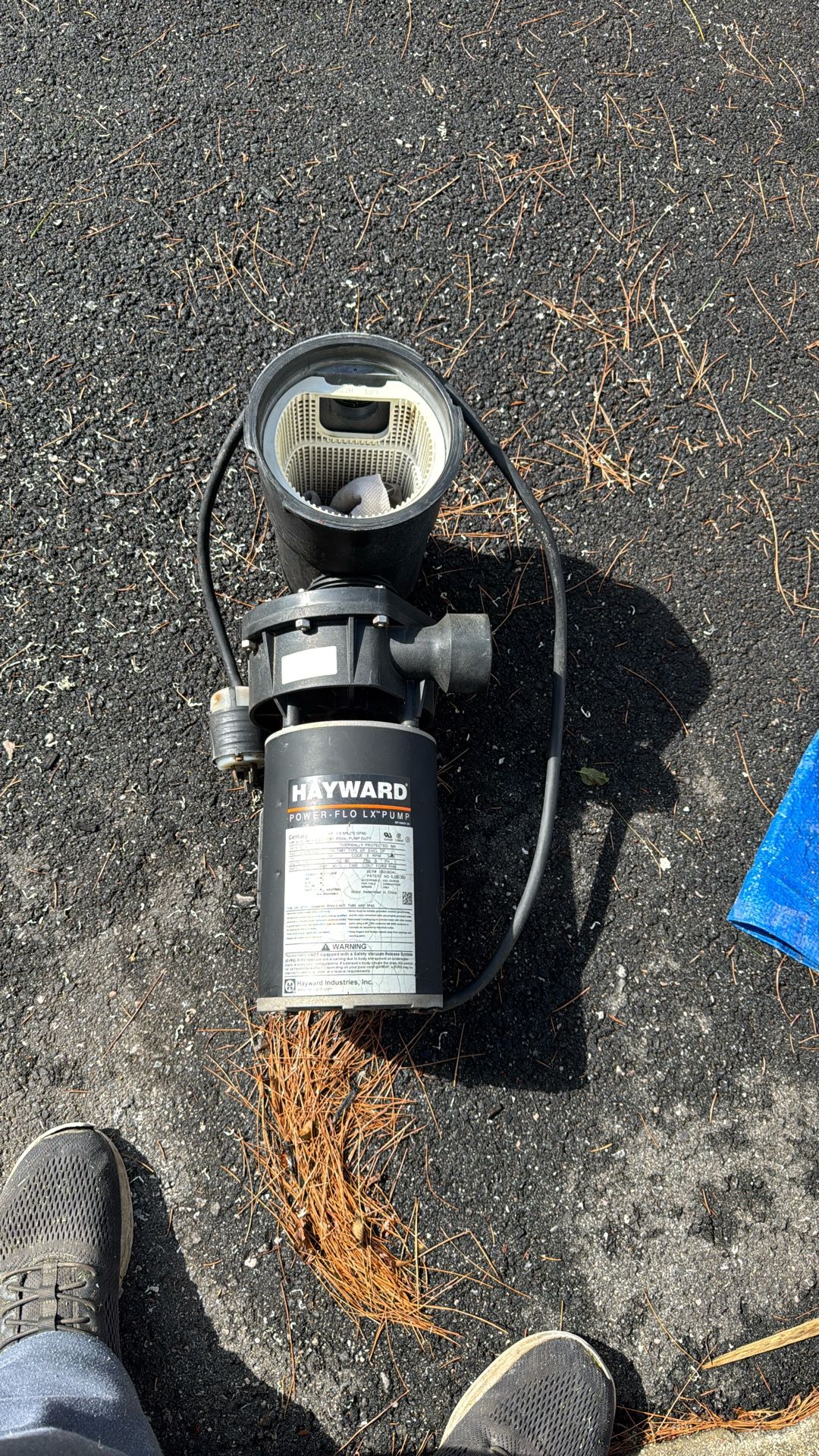 Hayward Power FloLX Pump 1.5 HP